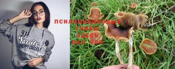 МДПВ Рославль