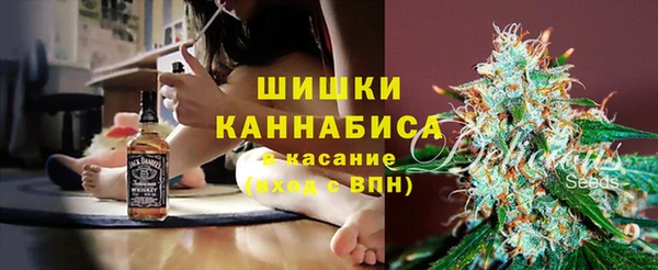 МДПВ Рославль