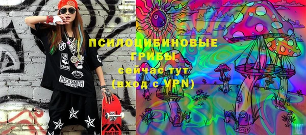 МДПВ Рославль