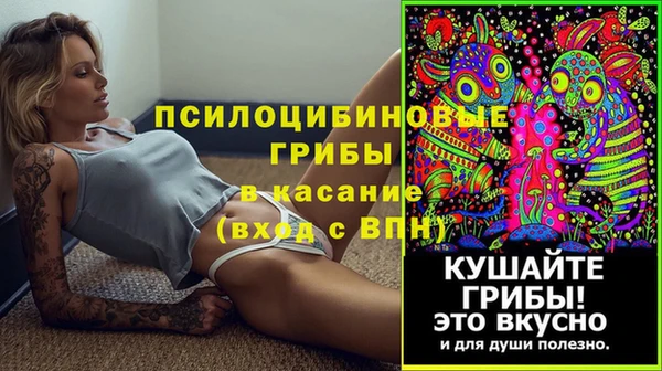 МДПВ Рославль